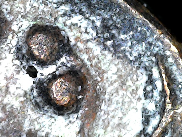 Oxidation of Copper Coin